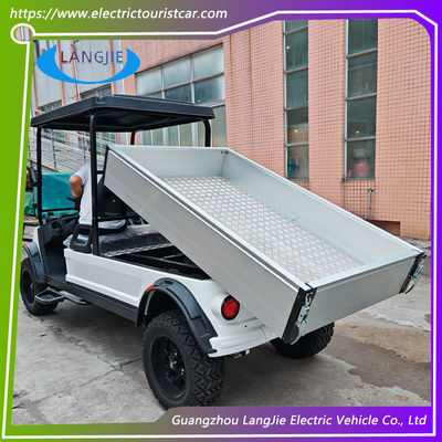 48 ولت موتور AC الکتریکی دو نفره گلف بوگی باتری کار می کند گواهینامه CE برای پارک